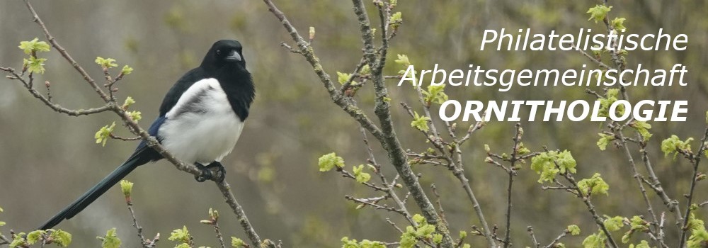 Actualiteiten en nieuws van Philatelistische Arbeitsgemeinschaft Ornithologie - Mededelingen